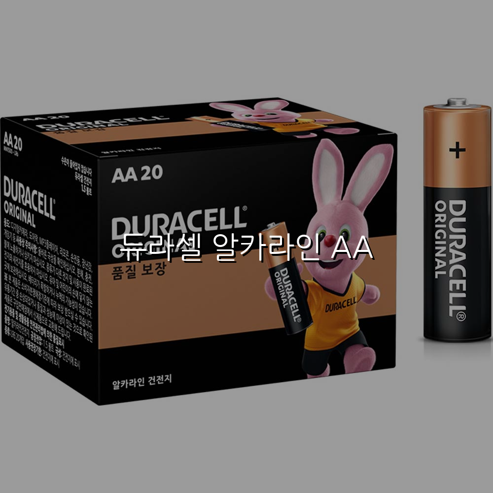 듀라셀 알카라인 AA