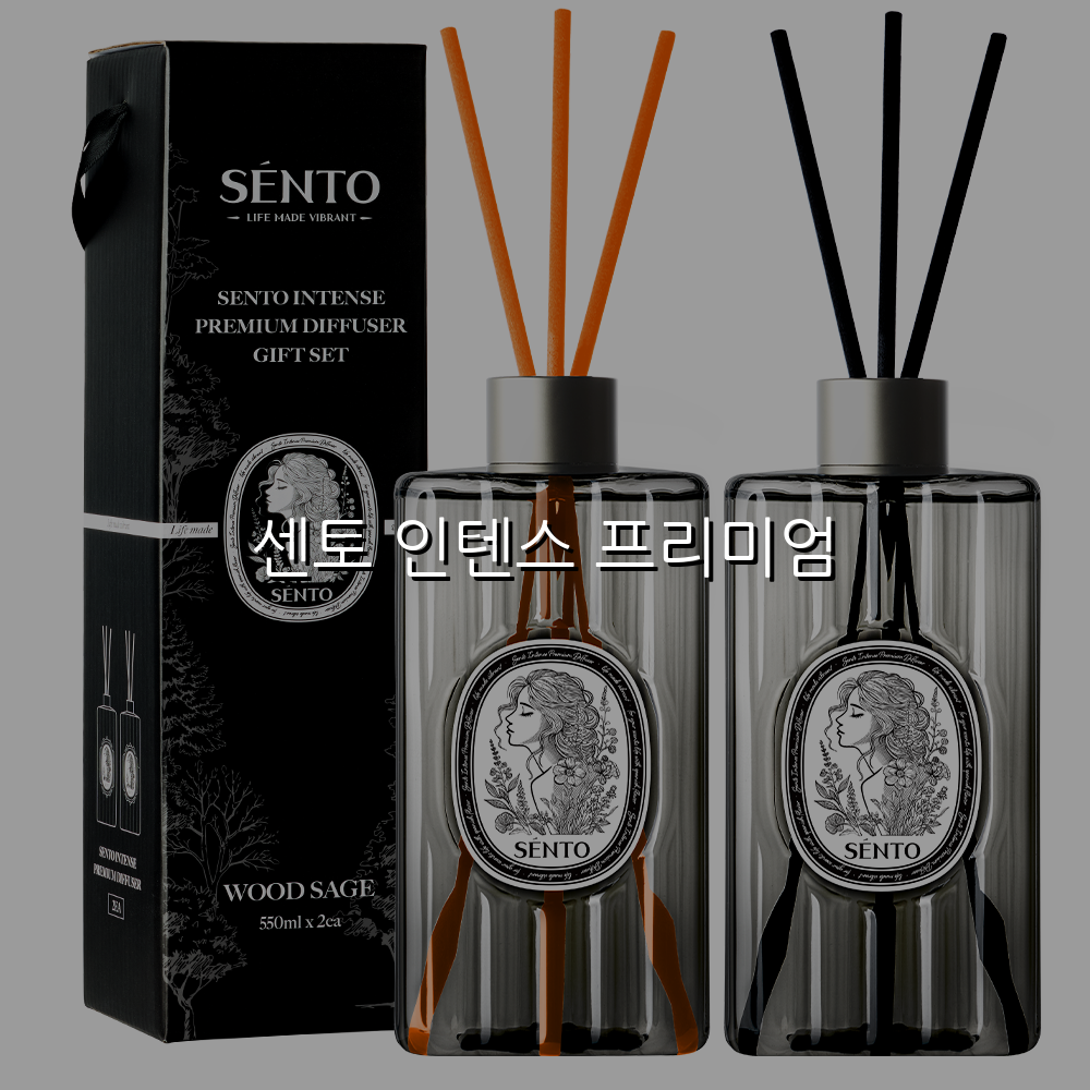 센토 인텐스 프리미엄 스펙/특징 및 실사용 가이드