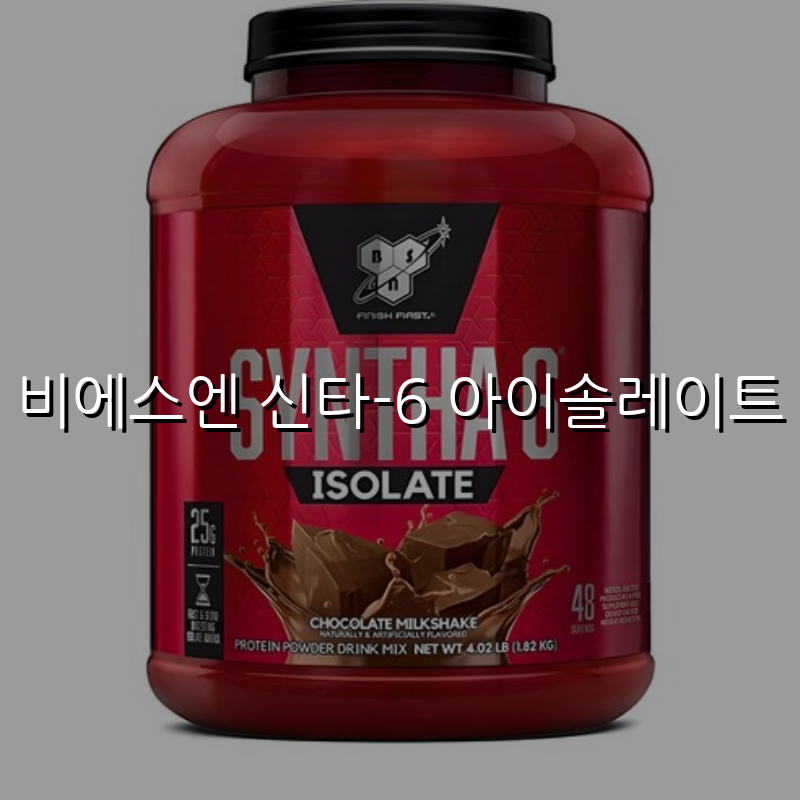 비에스엔 신타-6 아이솔레이트 스펙/특징 및 실사용 가이드