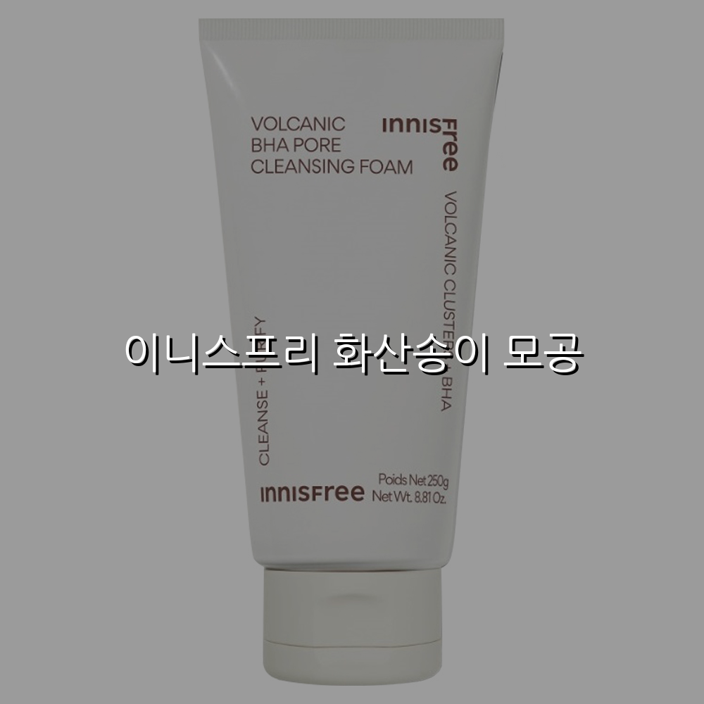 이니스프리 화산송이 모공
