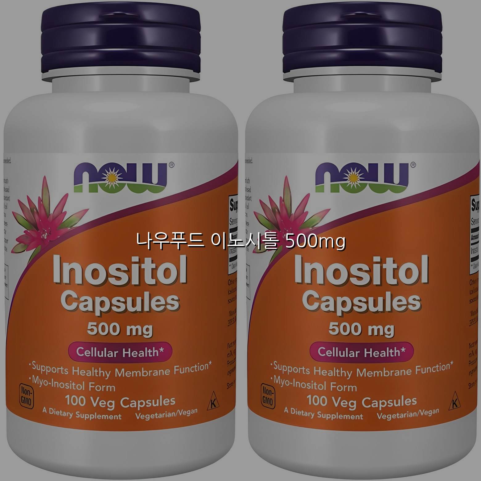 나우푸드 이노시톨 500mg