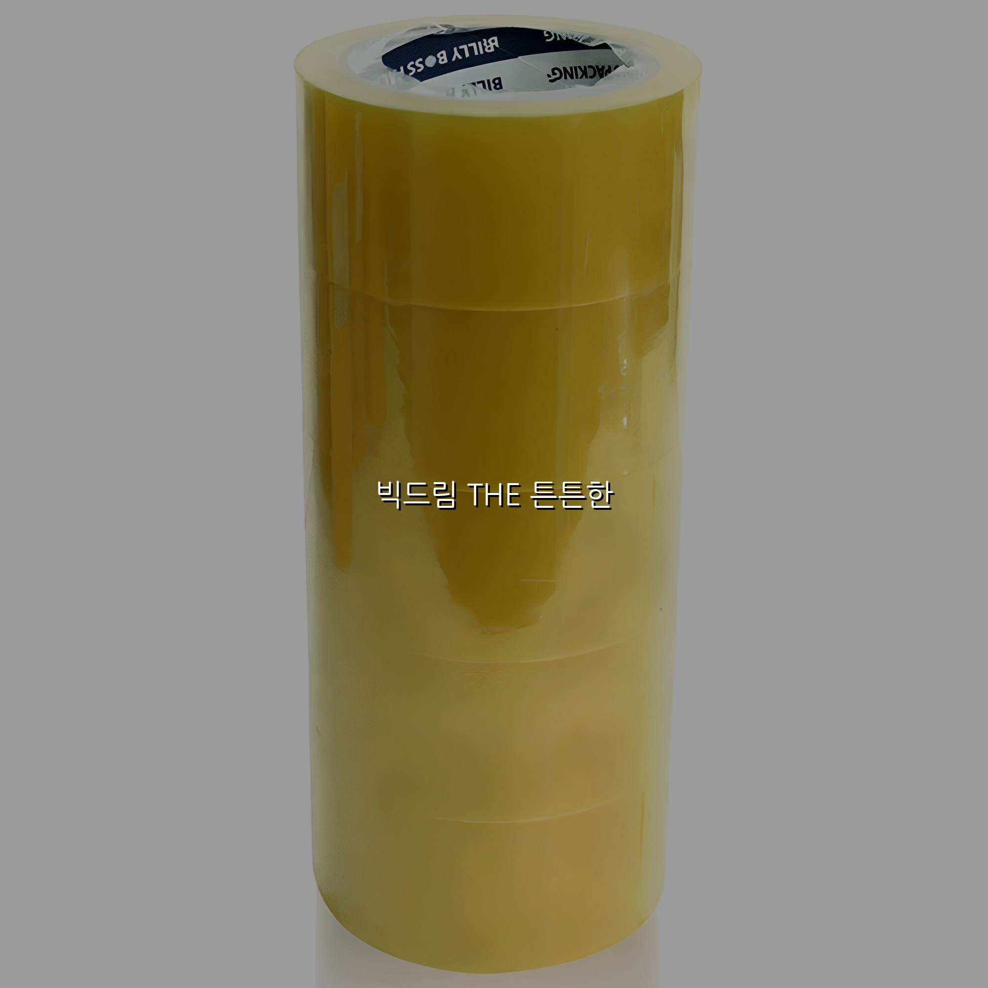 빅드림 THE 튼튼한 스펙/특징 및 실사용 가이드