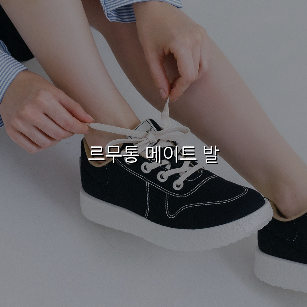 르무통 메이트 발 스펙/특징 및 실사용 가이드