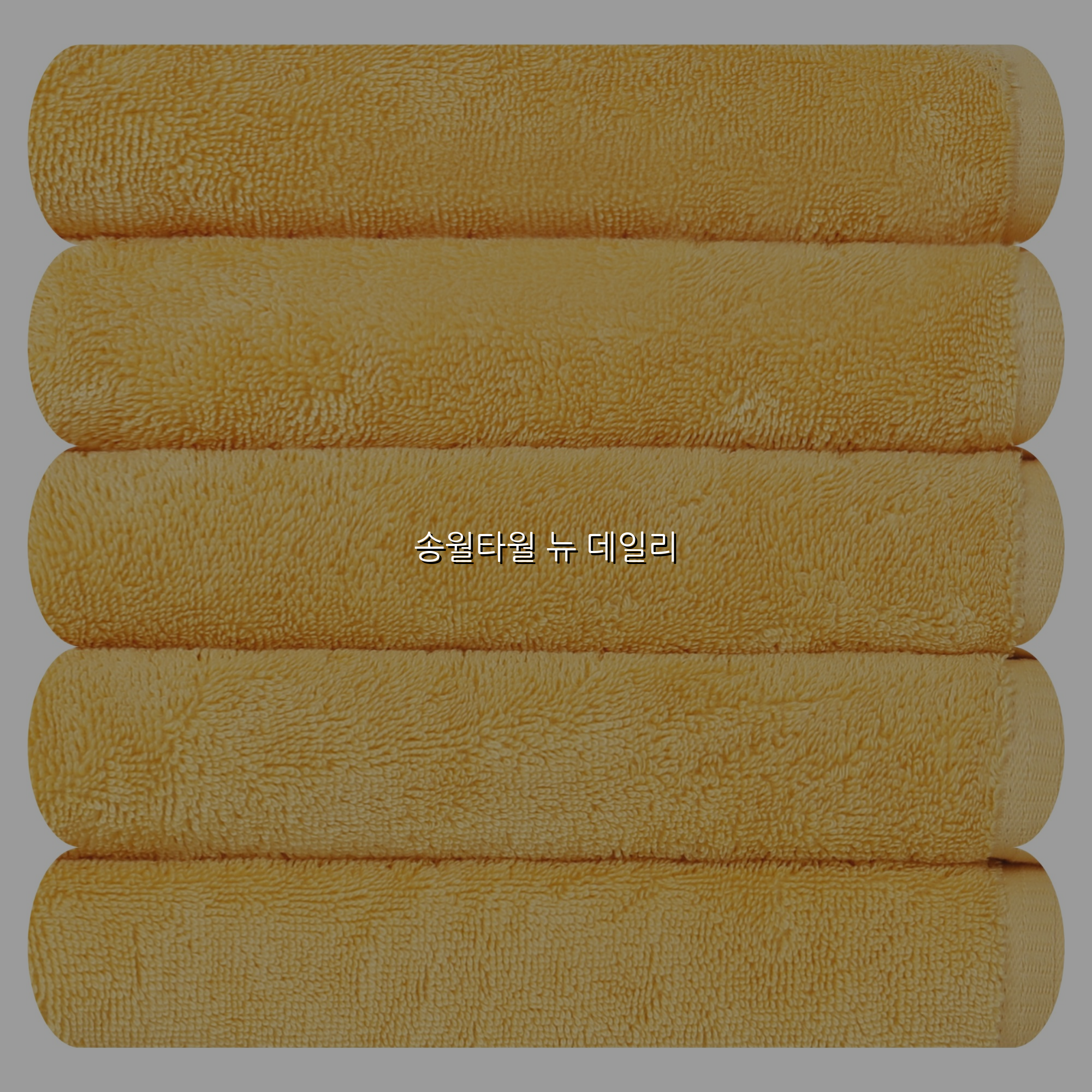 송월타월 뉴 데일리 스펙/특징 및 실사용 가이드