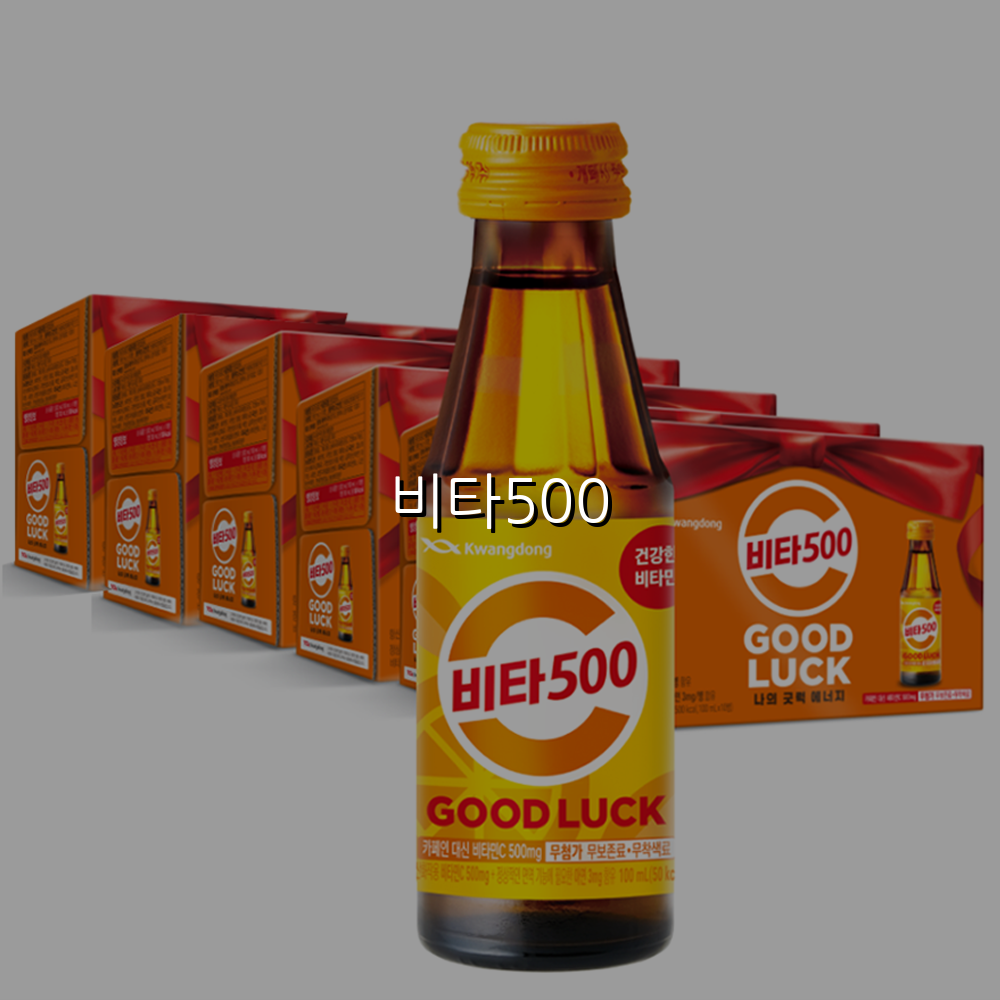 비타500
