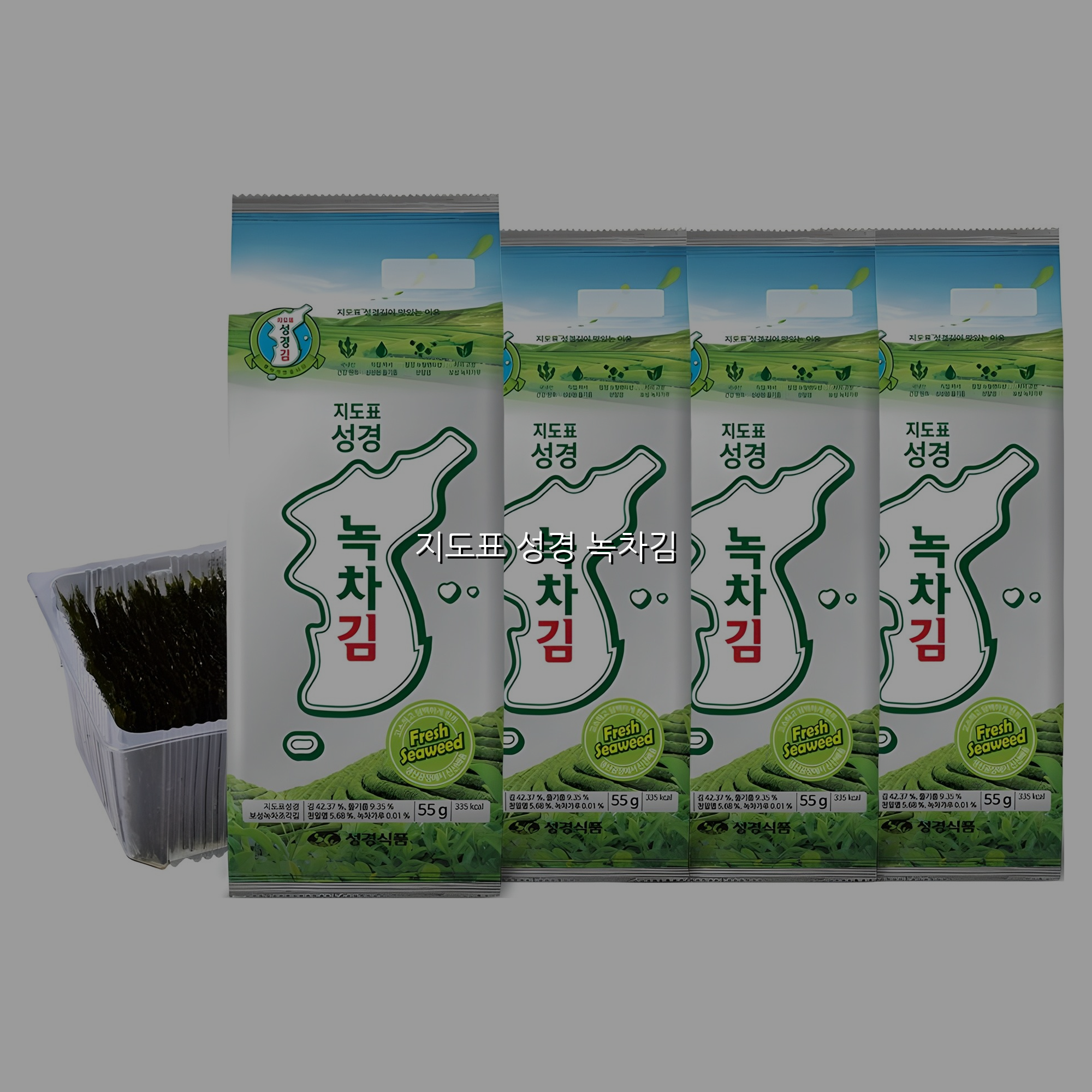 지도표 성경 녹차김